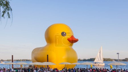 Photo for TORONTO, CANADA - JULY 1, 2017: The World's Largest Rubber Duck in Toronto Harbour for Canada Day with sailboat in background. - Royalty Free Image