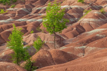 The Cheltenham Badlands in Caledon in summer, Ontario, Canada, a small example of badlands formation.