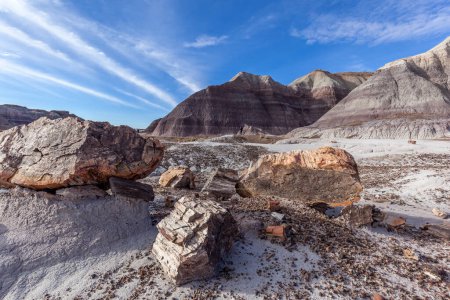 Photo for Petrified Logs with badlands in background in Petrified Forest National Park, Arizona, US. Petrified Forest National Park is known for the fossils of fallen trees lived about 225 million years ago. - Royalty Free Image