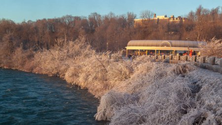 Photo for NIAGARA FALLS, ONTARIO, CANADA - MARCH 5, 2017: Frozen tree branches at top of Niagara falls, Niagara falls, Ontario, Canada - Royalty Free Image
