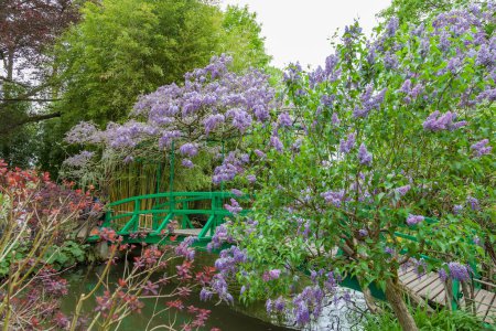 Photo for Giverny, France - May 9: Bridge with purple flowers in Claude Monet's house and gardens, a famous house of impressionist painter Claude Monet in Giverny located 80 km (50 mi) from Paris. - Royalty Free Image