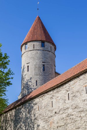 Foto de Muralla y torre medieval en el casco antiguo de Tallin, Estonia - Imagen libre de derechos
