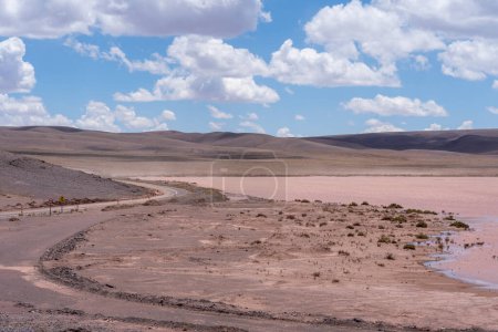 Téléchargez les photos : San Pedro de Atacama, Chili. Red Rocks (Piedras Rojas), lagune et salines dans le désert d'Atacama, Chili. - en image libre de droit
