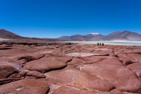 Foto de Rocas Rojas (Piedras Rojas), laguna y salinas con turistas irreconocibles en el desierto de Atacama, Chile. Estos paisajes volcánicos están situados en el corazón del altiplano chileno. - Imagen libre de derechos
