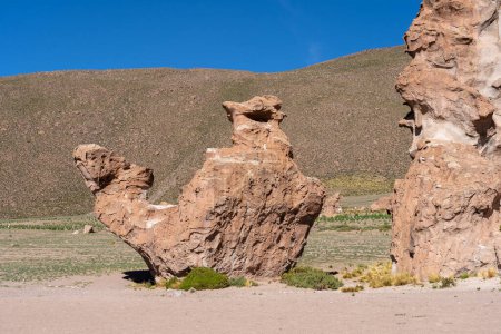 Photo for The camel (humpbacked El Camello) natural rock formation in Lost Italy, (Italia Perdida), Bolivian altiplano. - Royalty Free Image