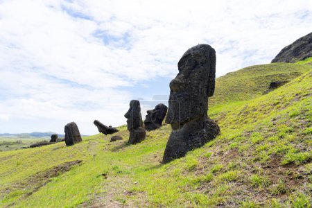 Foto de Isla de Pascua, Chile - 28 de febrero de 2023: Moai se dirige a la ladera de Rano Raraku en Isla de Pascua (Rapa Nui), Chile. Raraku es comúnmente conocida como la Fábrica Moai. - Imagen libre de derechos