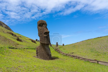 Téléchargez les photos : Île de Pâques, Chili - 28 février 2023 : Moai se dirige sur la pente de Rano Raraku sur l'île de Pâques (Rapa Nui), Chili. Raraku est communément connu sous le nom de Moai Factory. - en image libre de droit