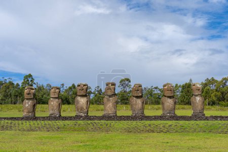 Téléchargez les photos : Île de Pâques, Chili - 28 février 2023 : Moai se dirige sur la pente de Rano Raraku sur l'île de Pâques - en image libre de droit