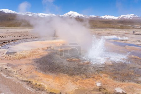 Einer der aktiven Geysire in El Tatio, Chile. El Tatio ist ein geothermisches Feld mit vielen Geysiren in der Nähe der Stadt San Pedro de Atacama in den Anden im Norden Chiles.