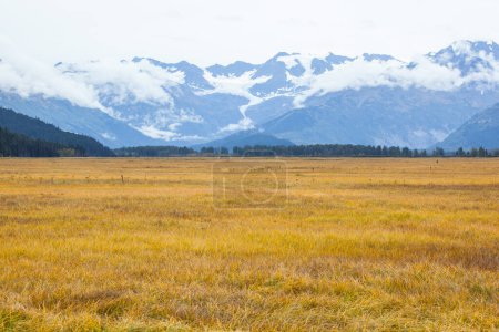 Foto de Hierba de otoño con montaña en el fondo, Alaska - Imagen libre de derechos
