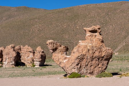 Die natürliche Felsformation des Kamels (buckliger El Camello) in Lost Italy, (Italia Perdida), bolivianisches Altiplano.
