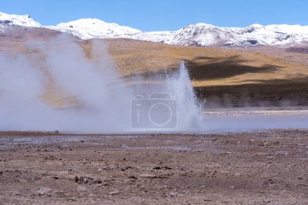 Photo for One of the active geysers in El Tatio, Chile. El Tatio is a geothermal field with many geysers near the town of San Pedro de Atacama in the Andes Mountains of northern Chile. - Royalty Free Image