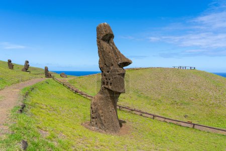 Foto de Isla de Pascua, Chile - 28 de febrero de 2023: Moai se dirige a la ladera de Rano Raraku en Isla de Pascua (Rapa Nui), Chile. Raraku es comúnmente conocida como la Fábrica Moai. - Imagen libre de derechos