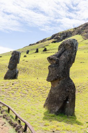 Photo for Easter Island, Chile - February 28, 2023: Moai heads on the slope of Rano Raraku on Easter Island (Rapa Nui), Chile. Raraku is commonly known as the Moai Factory. - Royalty Free Image