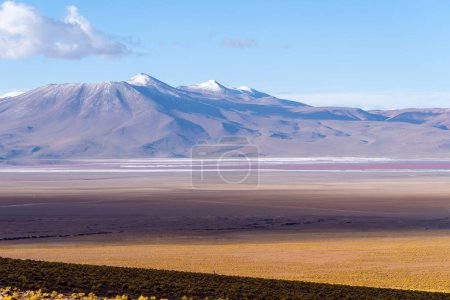 Téléchargez les photos : Paysage à Eduardo Avaroa Réserve nationale de faune andine au crépuscule en Bolivie. La réserve nationale de faune andine Eduardo Avaroa est la zone protégée la plus visitée de Bolivie. - en image libre de droit