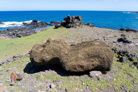Téléchargez les photos : Île de Pâques, Chili - 4 mars 2023 : Un petit moai face visible posé sur le sol à Ahu Akahanga sur la côte sud de l'île de Pâques. - en image libre de droit