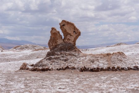 Photo for Dinosaur Head rock formation in Valley of the Moon (Valle de la Luna) in San Pedro de Atacama, Chile. Valley of the Moon is a valley in Los Flamencos National Reserve. - Royalty Free Image