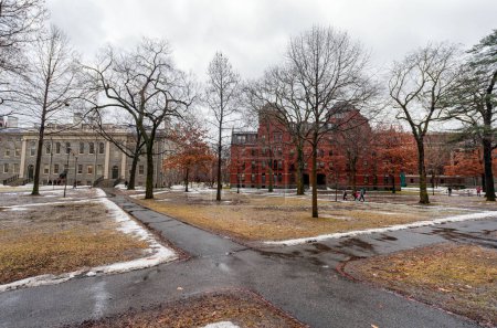 Photo for Harvard Yard in Boston. Harvard University Area. Massachusetts, USA - Royalty Free Image