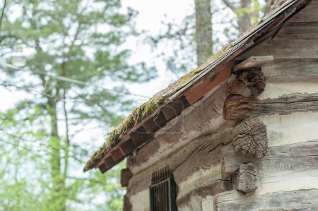Foto de Building roof and Wooden Texture Wall - Imagen libre de derechos