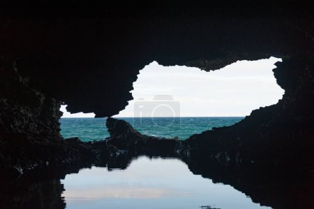 Foto de Animal Flower Cave in Barbados Island. Sightseeing Place. - Imagen libre de derechos