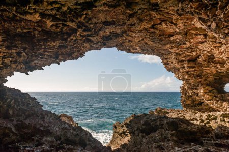Foto de Animal Flower Cave in Barbados Island. Sightseeing Place. - Imagen libre de derechos