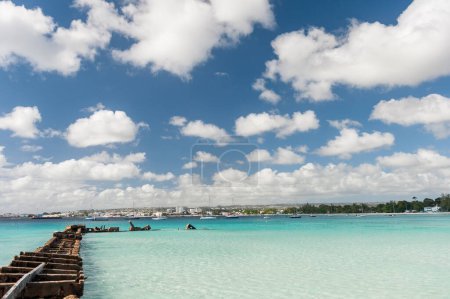 Photo for Beach in Barbados and Caribbean Sea. - Royalty Free Image
