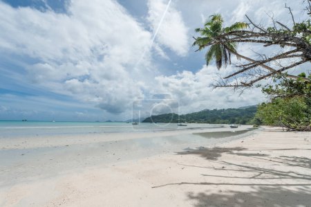 Téléchargez les photos : Beach in Seychelles Island. Indian Ocean Island with Beautiful Sandy Beach - en image libre de droit