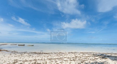 Téléchargez les photos : Plage de l'île des Seychelles. Île de l'océan Indien avec belle plage de sable fin - en image libre de droit