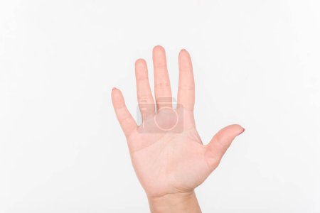 Téléchargez les photos : Femme main avec vernis ongles montrer cinq doigts. Un fond blanc. Main droite. - en image libre de droit