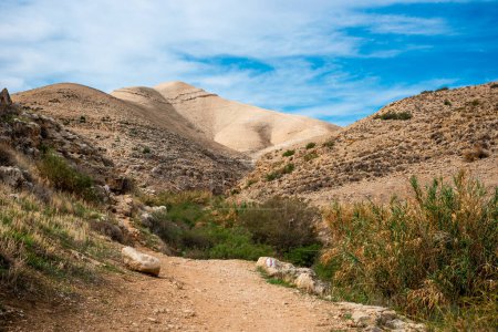 Foto de Prat River in Israel. Wadi Qelt valley in the West Bank, originating near Jerusalem and running into the Jordan River near Jericho and the Dead Sea. Nahal Prat, in Judaean Desert. - Imagen libre de derechos
