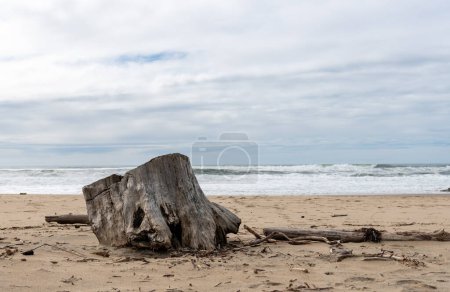 Téléchargez les photos : Pomponio State Beach is a state beach of California in the United States. It is located 12 miles south of Half Moon Bay off California State Route 1 - en image libre de droit