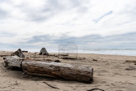 Téléchargez les photos : Pomponio State Beach is a state beach of California in the United States. It is located 12 miles south of Half Moon Bay off California State Route 1 - en image libre de droit