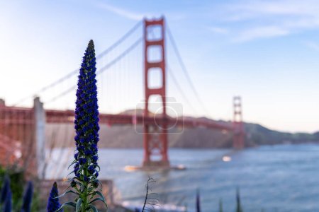 Téléchargez les photos : Fierté de Madère devant le Golden Gate Bridge à San Francisco, Californie. États-Unis. - en image libre de droit