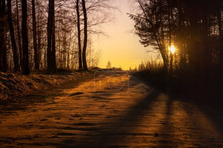 Téléchargez les photos : Belle lumière du coucher du soleil et route en arrière-plan. Les gens sortent de la forêt. Bonsoir. - en image libre de droit