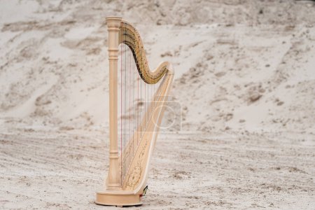Photo for Luxury Harp Music Instrument. Outdoor. - Royalty Free Image