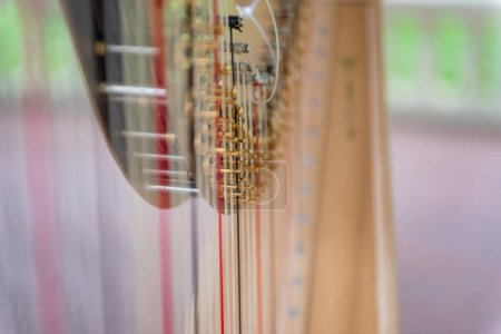 Photo for Luxury Harp Music Instrument. Close up Chord, String - Royalty Free Image