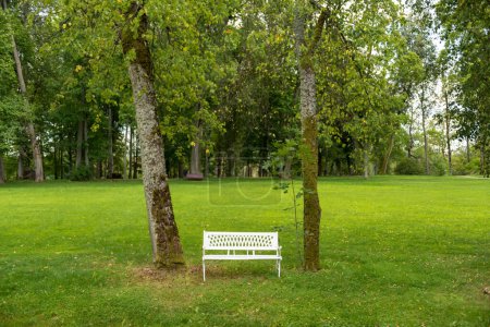 Photo for White Wooden Bench in The Park. Green Grass and Trees in Background - Royalty Free Image