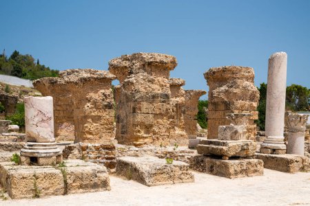 Téléchargez les photos : Les Thermes d'Antonin ou les Thermes de Carthage à Tunis, Tunisie. Il s'agit du plus vaste ensemble de thermes romains construit sur le continent africain et l'un des trois plus grands construits dans l'Empire romain.. - en image libre de droit