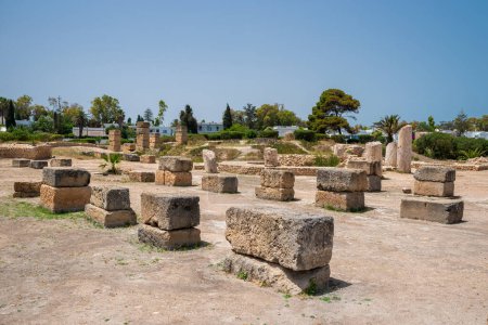 Téléchargez les photos : Bavoir Knissia Basilica, Basilica Restituta à Carthage, Tunisie. - en image libre de droit