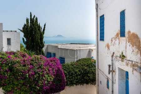 Photo for Sidi Bou Said in Tunisia. It is a town in northern Tunisia located about 20 km from the capital, Tunis. - Royalty Free Image