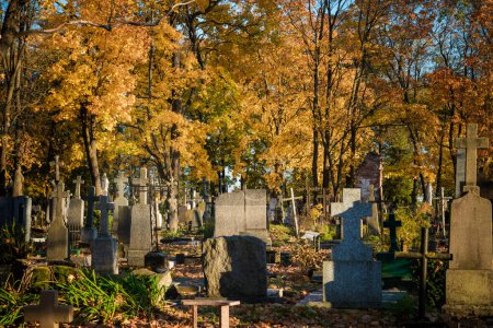 Foto de Antiguo cementerio en Lituania, Europa. Hojas de Otoño y Árbol en Fondo - Imagen libre de derechos