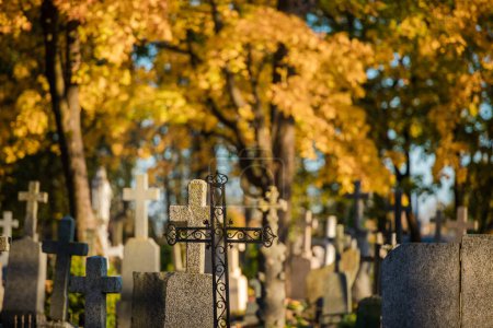 Photo for Old Cemetery in Lithuania, Europe. Autumn Leaves and Tree in Background - Royalty Free Image