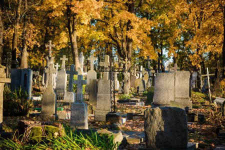 Foto de Antiguo cementerio en Lituania, Europa. Hojas de Otoño y Árbol en Fondo - Imagen libre de derechos