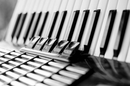 Photo for Closeup of Accordion. Black and White - Royalty Free Image