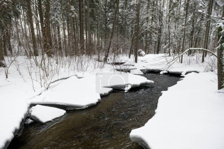 Téléchargez les photos : Paysage hivernal enneigé avec rivière en forêt. Eau qui coule et brise la glace. Nature - en image libre de droit