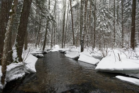 Téléchargez les photos : Snowy Winter Landscape with River in Forest. Flowing Water and Breaking Ice. Nature - en image libre de droit