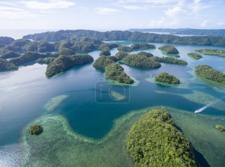Foto de Beautiful Palau Landscape and Nature. - Imagen libre de derechos