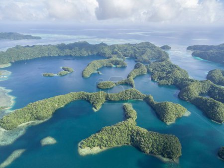 Foto de Beautiful Palau Landscape and Nature. - Imagen libre de derechos