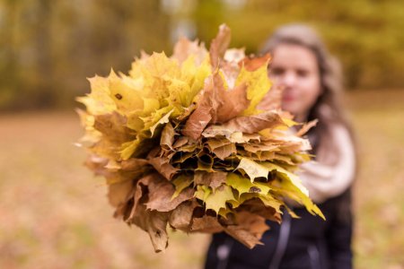 Photo for Autumn leaves and blurry girl in background - Royalty Free Image