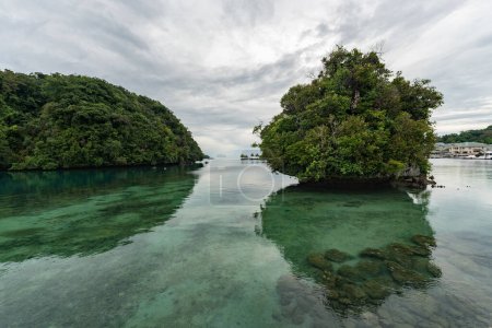 Photo for Clear Crystal Water in Koror, Palau. With Green Island in Background. Landscape. Micronesia - Royalty Free Image